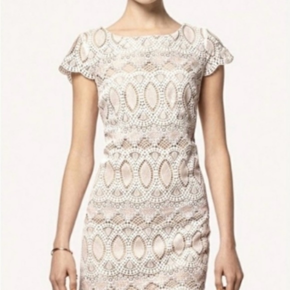 Eliza J White Eyelet Sheath Elegant Lace Mini Dress Bridal Shower 0P Petite - Picture 2 of 16